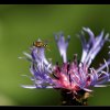 20130715_186